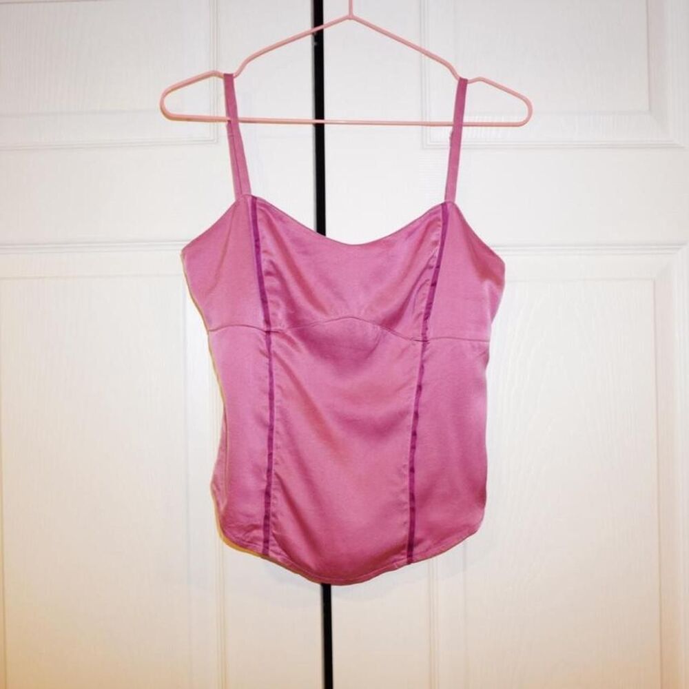 Express Women's Pink and Purple Corset